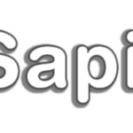 Sapient Global Services